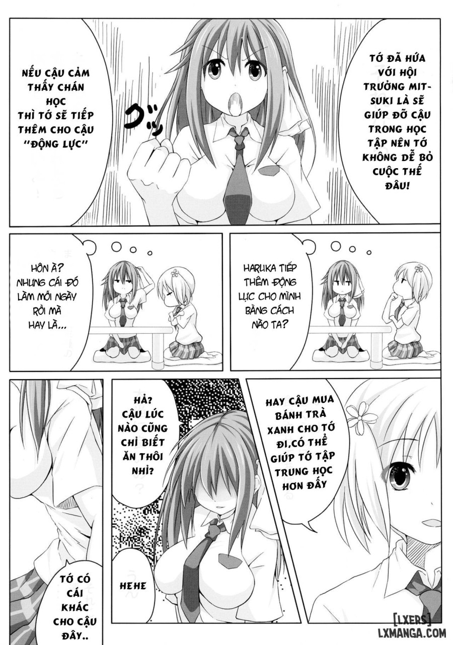Sakura Strip 