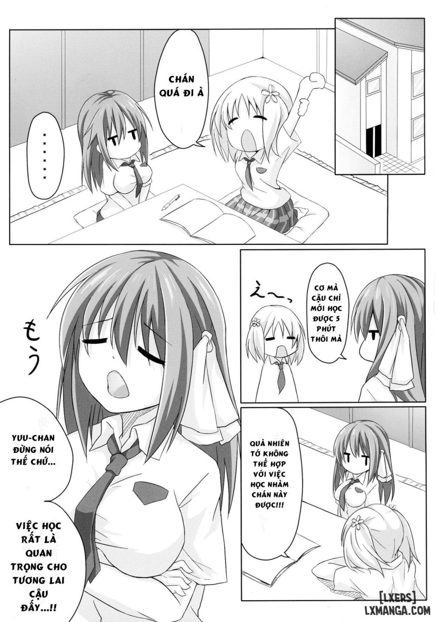 Sakura Strip 