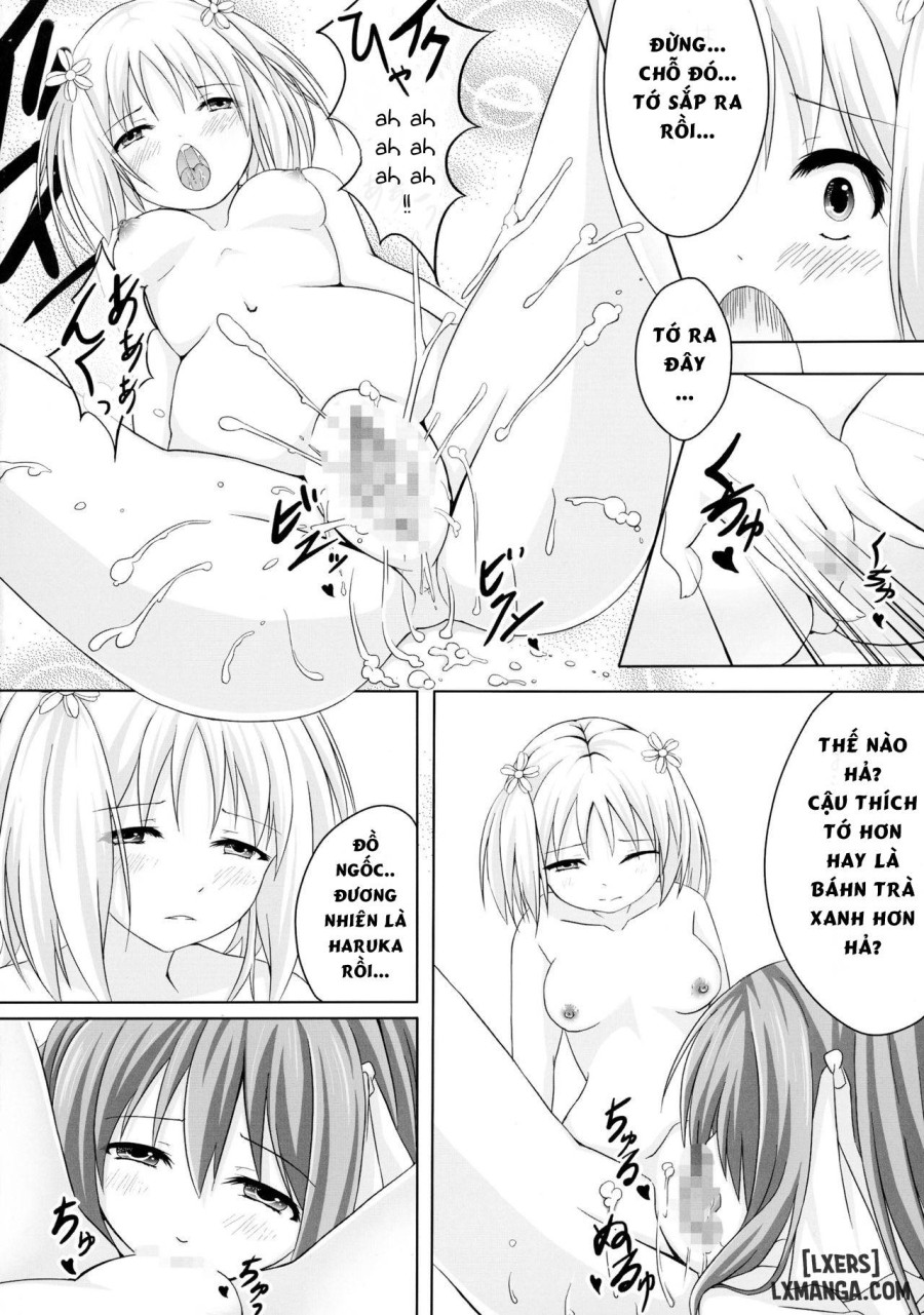 Sakura Strip 