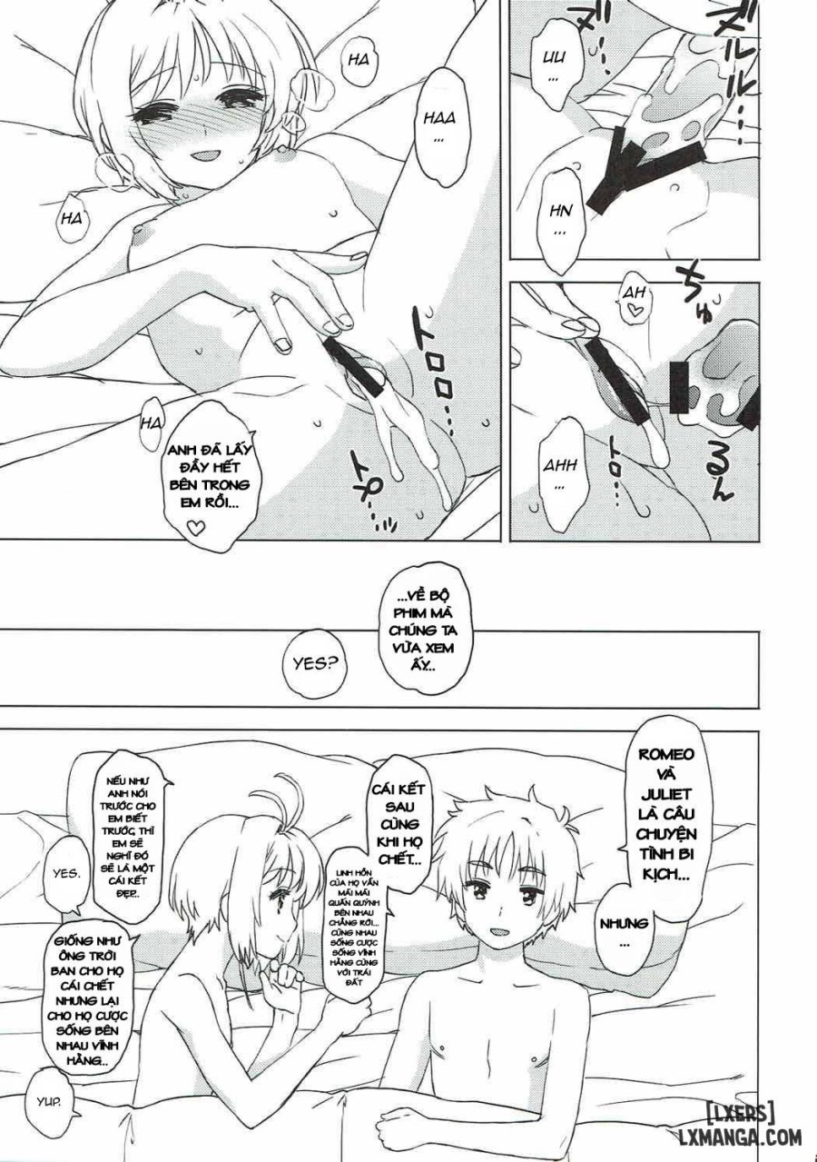 Sakura to Syaoran to Warm Bodies 