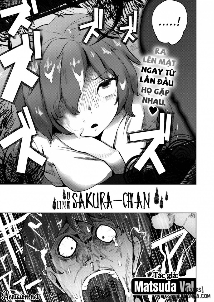 Sakura-chan’s Lingering Regrets 