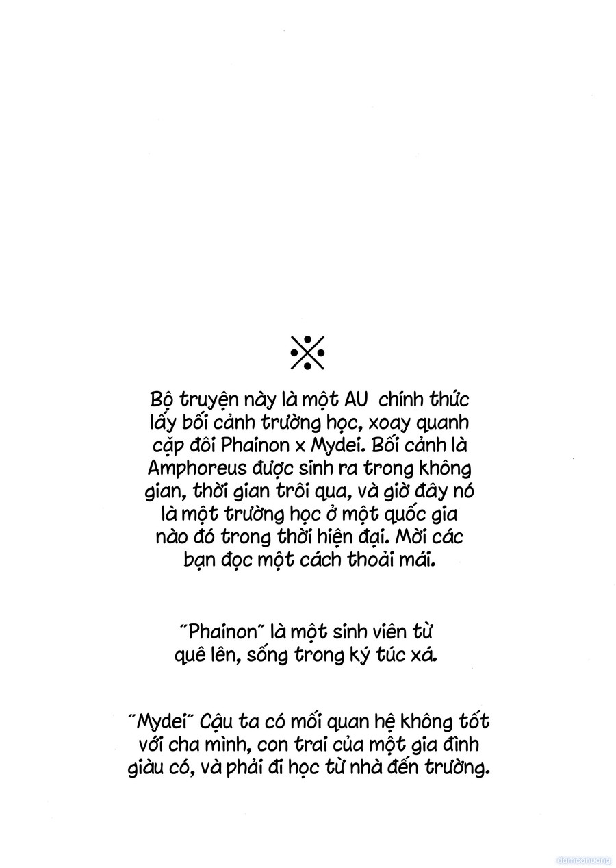 Ánh Nhìn 