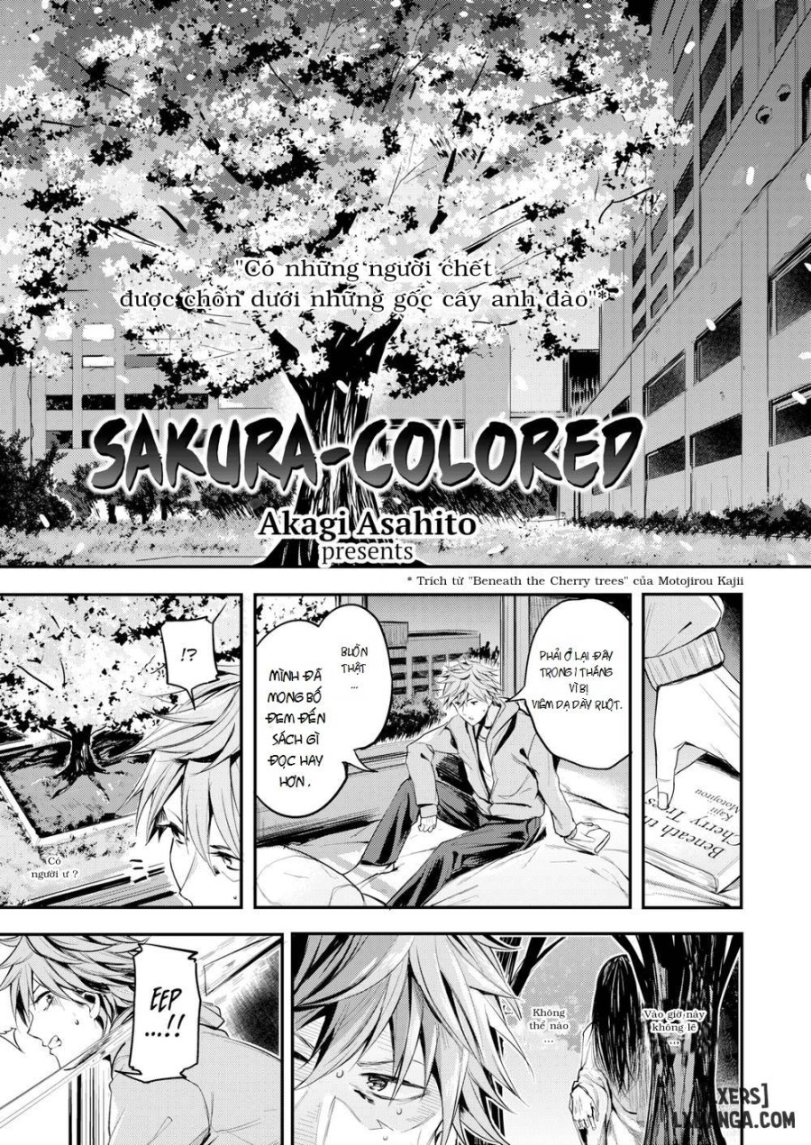 Sakura-Colored 
