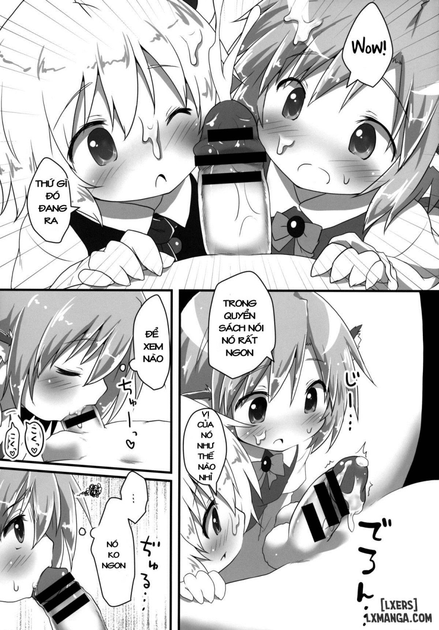 Sakusei Quartet 