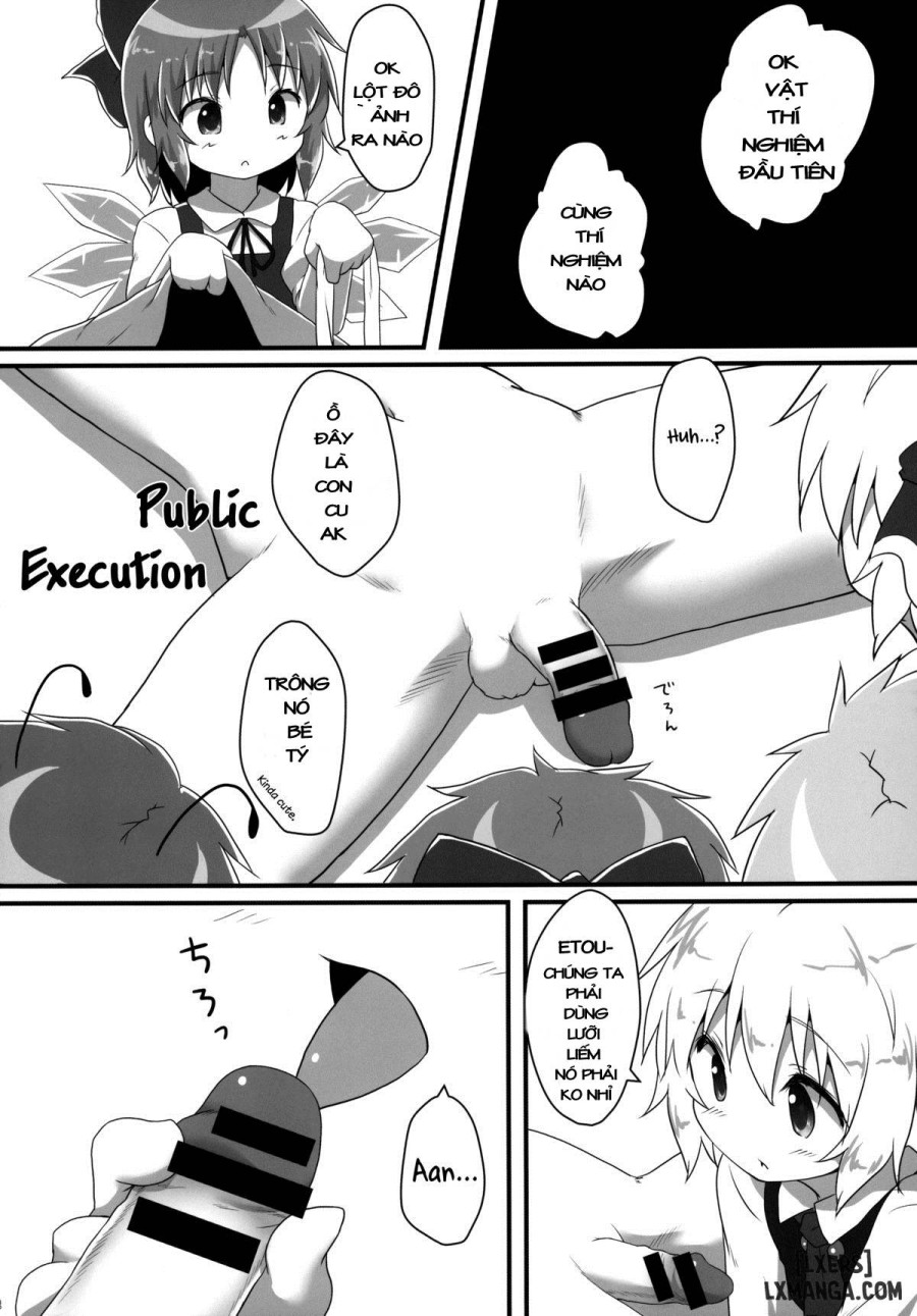 Sakusei Quartet 