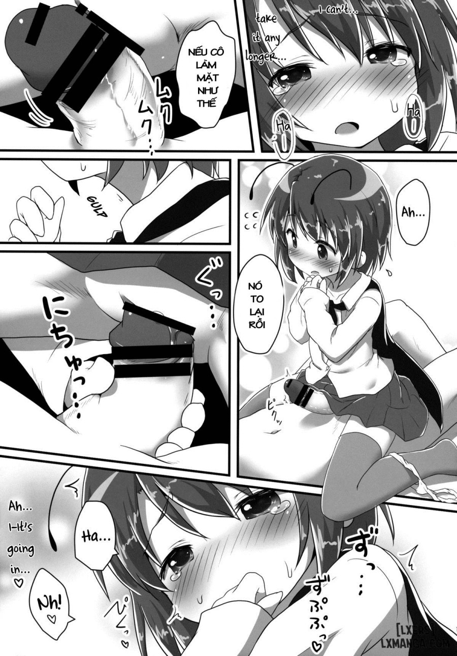 Sakusei Quartet 
