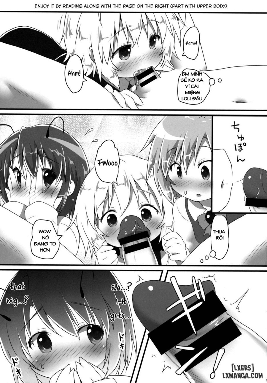Sakusei Quartet 