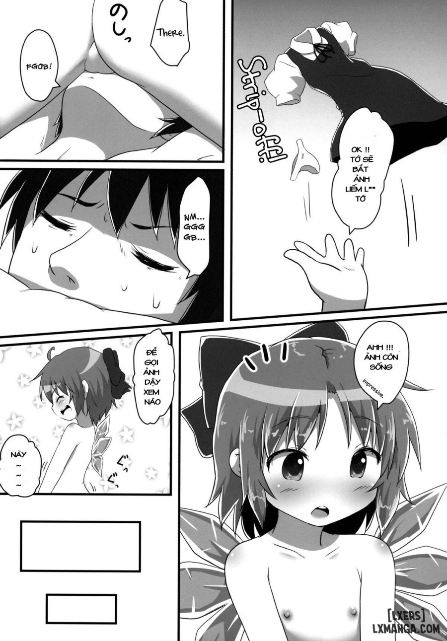 Sakusei Quartet 