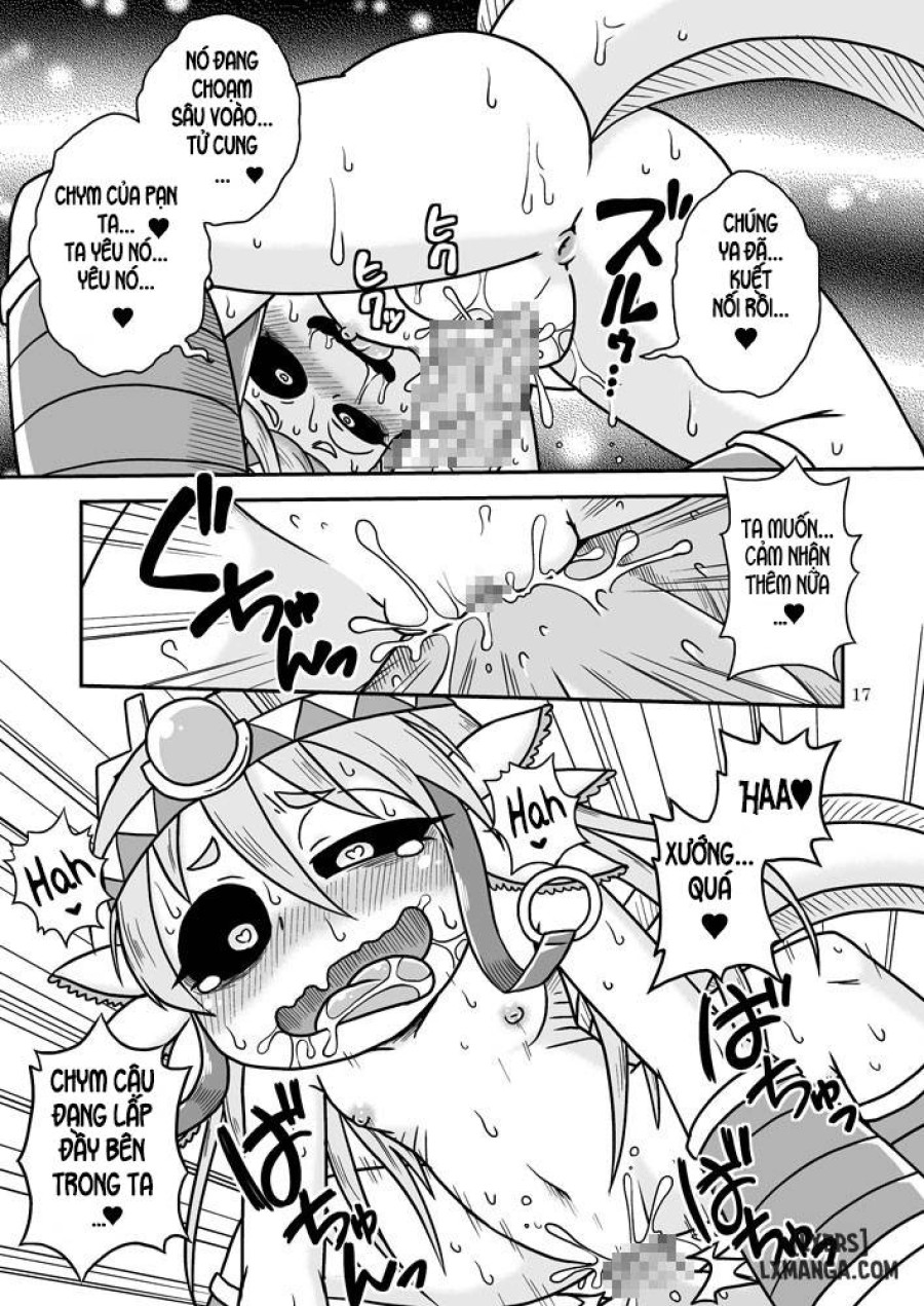 Salamandra's Chest 