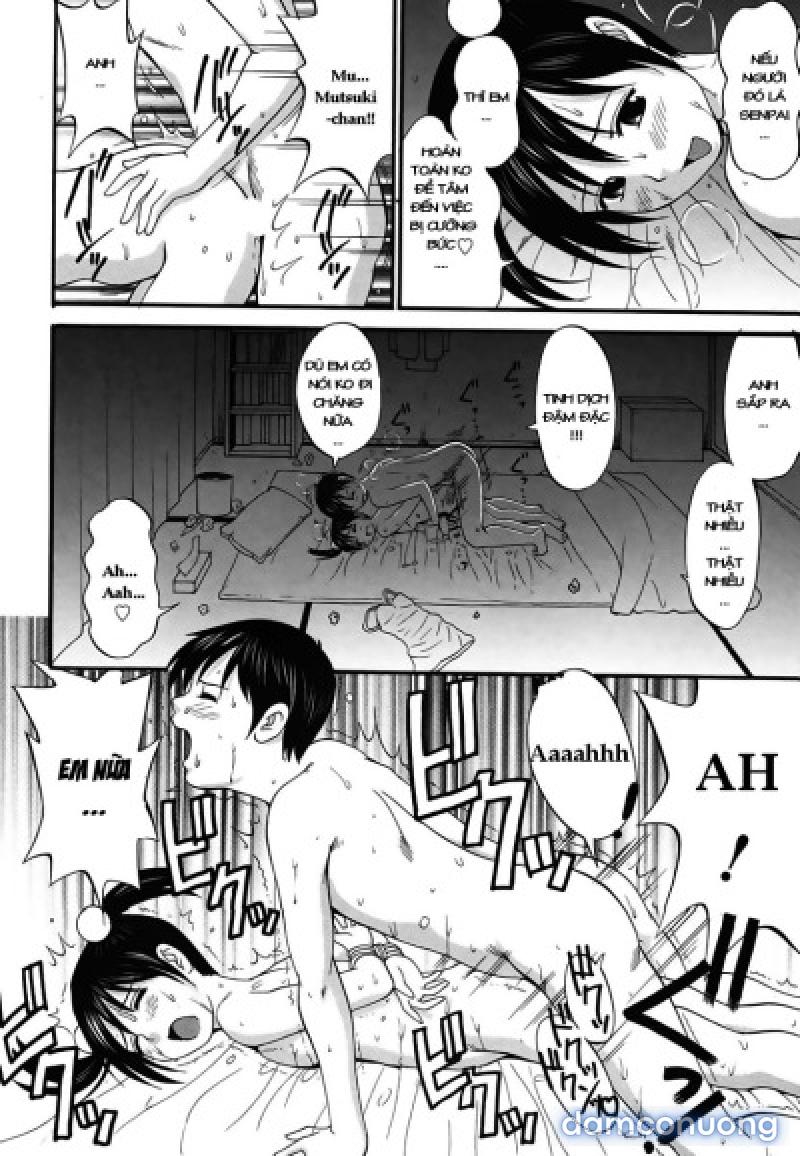Boku no Seinen Kouken-nin 