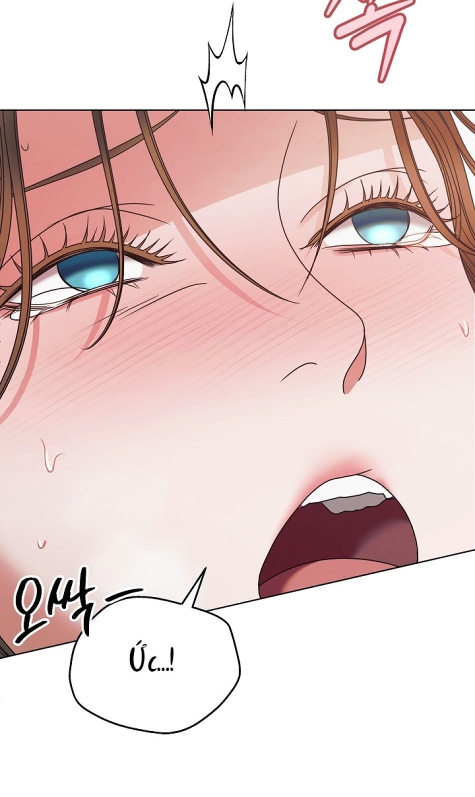 [18+] Hãy Cầu Xin Tôi Đii 
