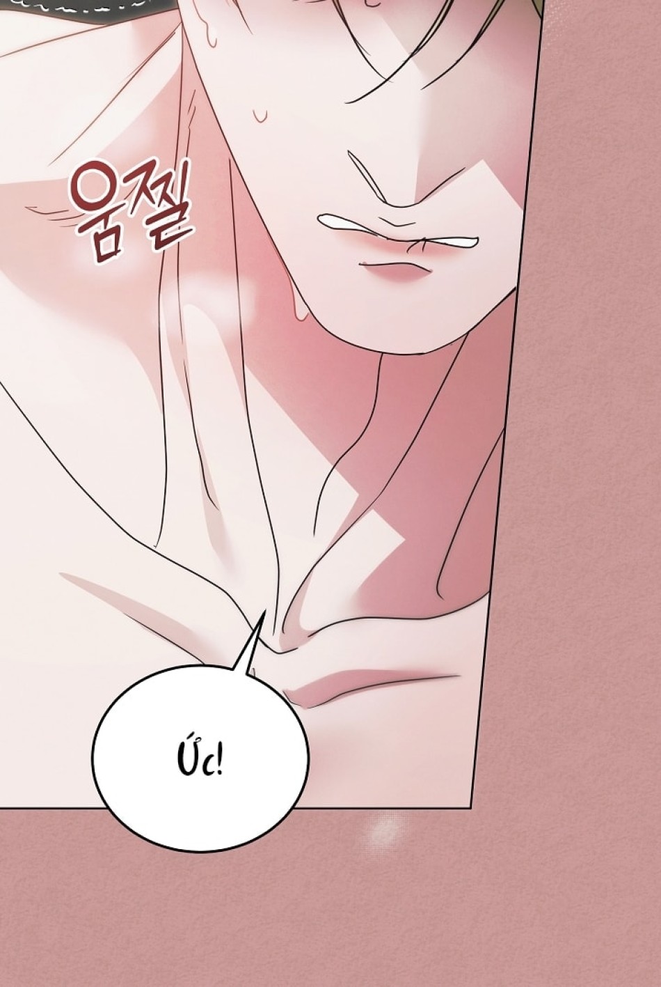 [18+] Hãy Cầu Xin Tôi Đii 