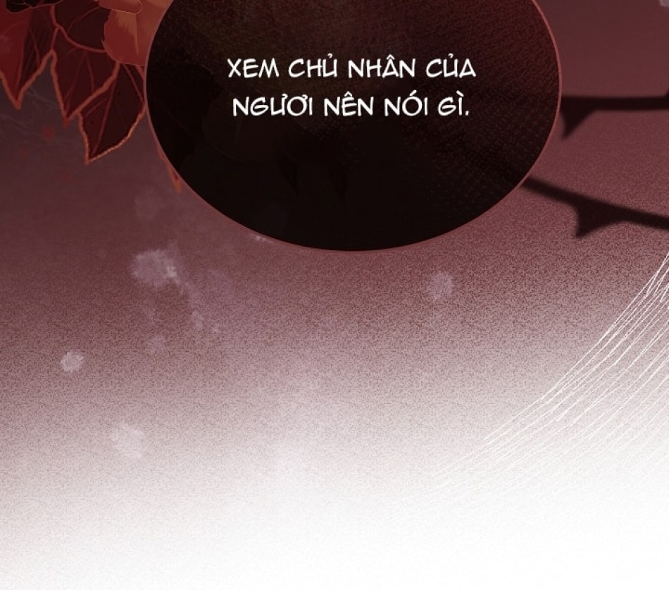 [18+] Hãy Cầu Xin Tôi Đii 