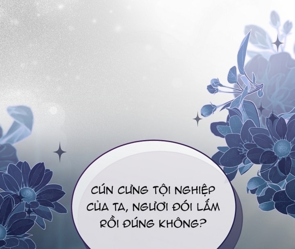 [18+] Hãy Cầu Xin Tôi Đii 