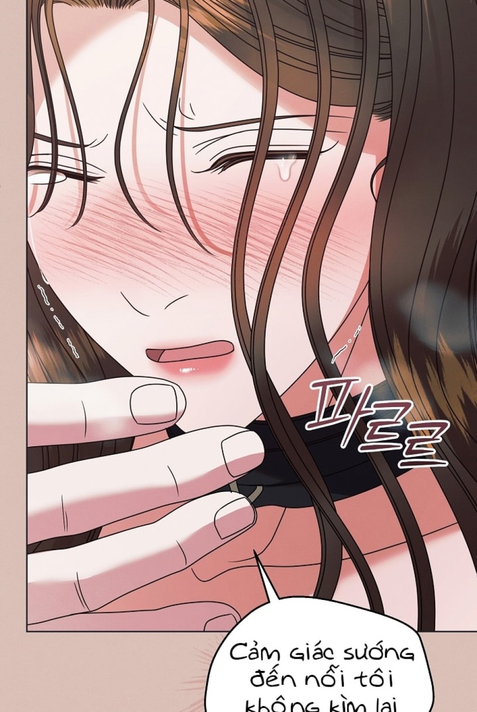 [18+] Hãy Cầu Xin Tôi Đii 