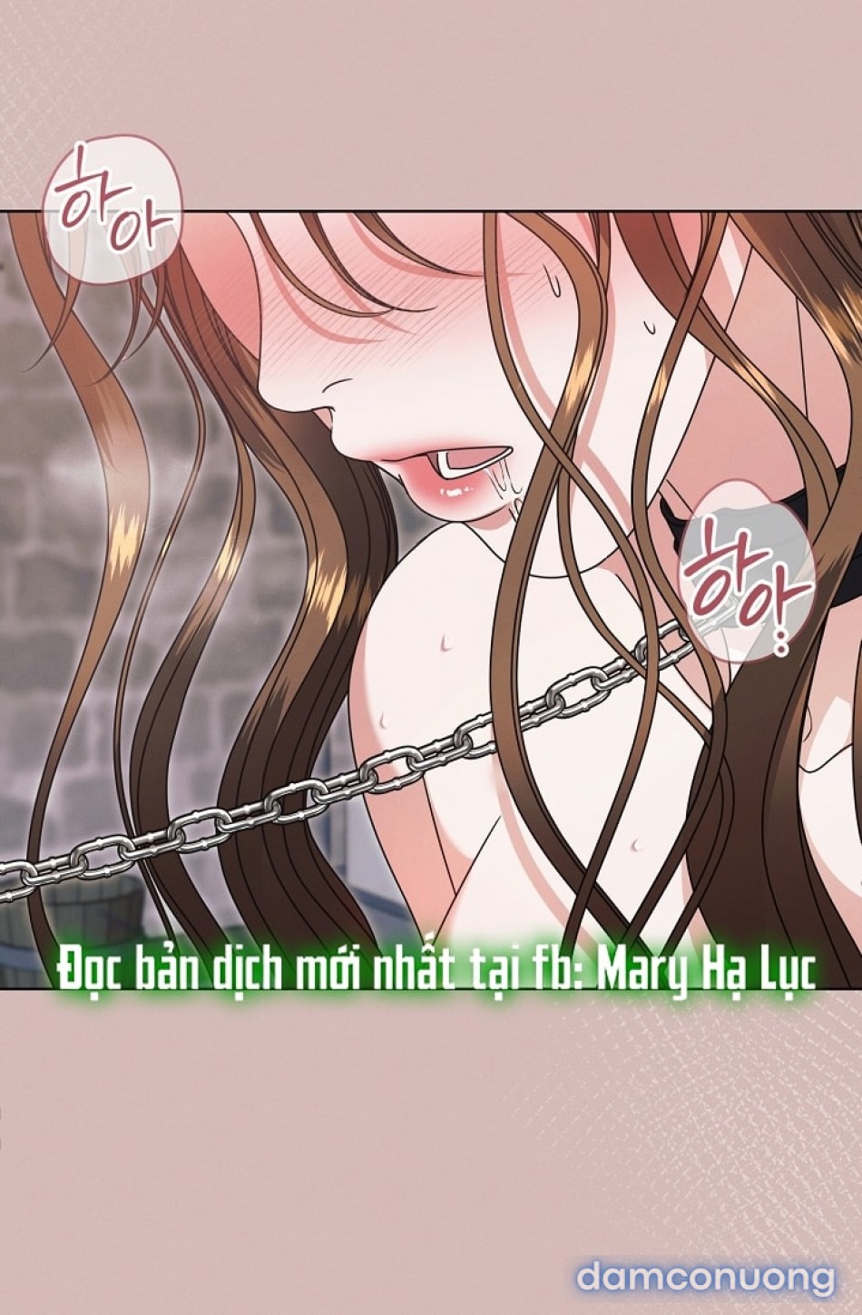 [18+] Hãy Cầu Xin Tôi Đii 