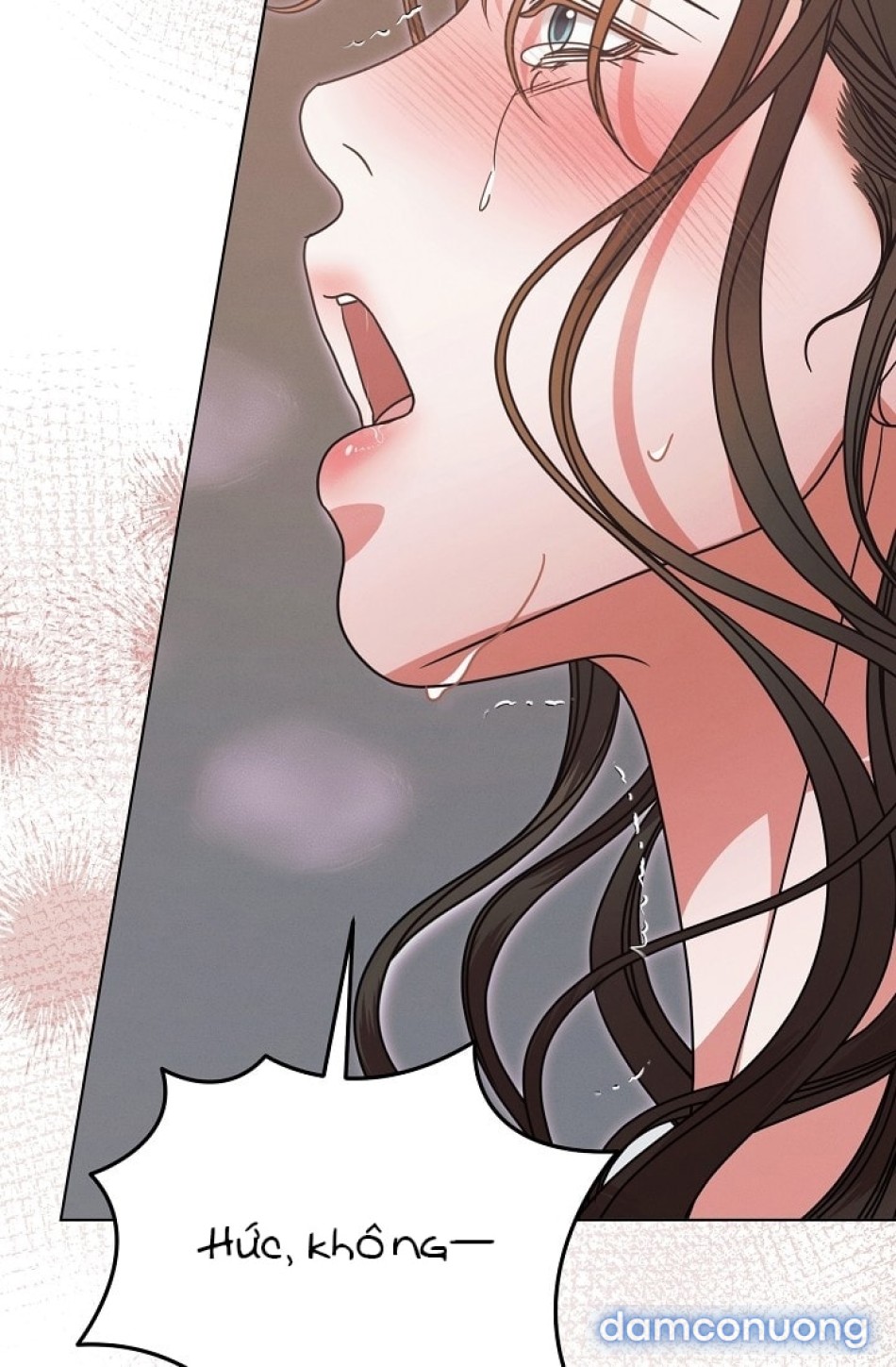 [18+] Hãy Cầu Xin Tôi Đii 