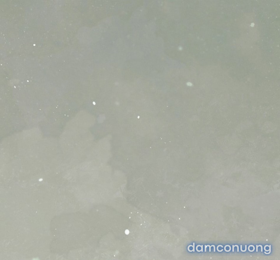 [18+] Hãy Cầu Xin Tôi Đii 