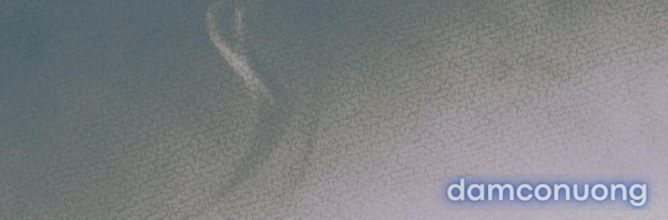 [18+] Hãy Cầu Xin Tôi Đii 
