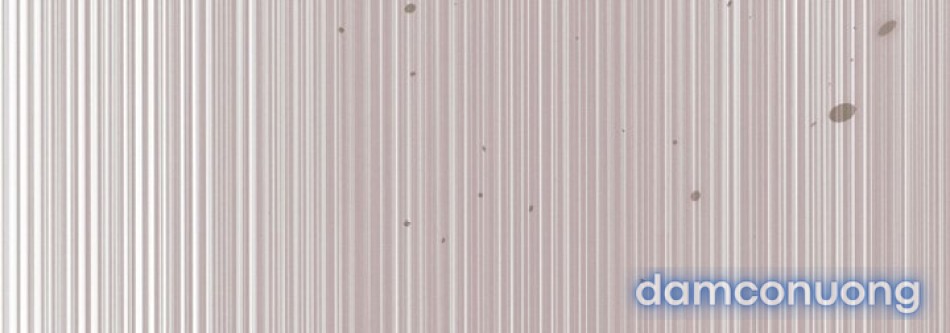 [18+] Hãy Cầu Xin Tôi Đii 
