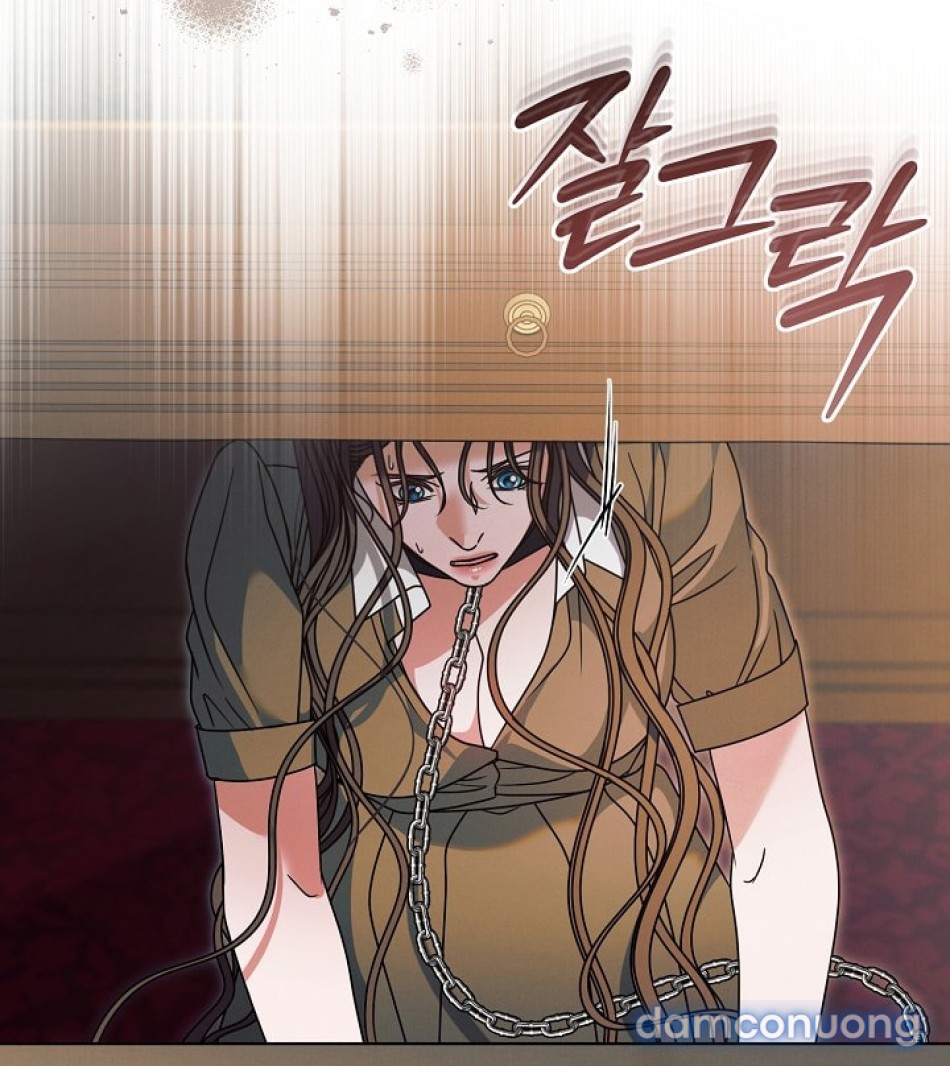 [18+] Hãy Cầu Xin Tôi Đii 