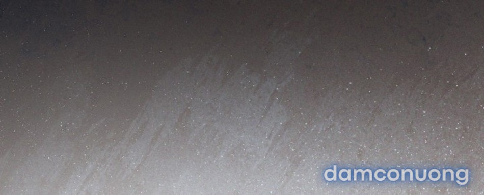 [18+] Hãy Cầu Xin Tôi Đii 