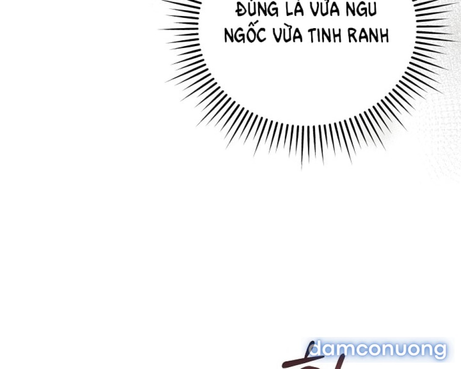 [18+] Hãy Cầu Xin Tôi Đii 