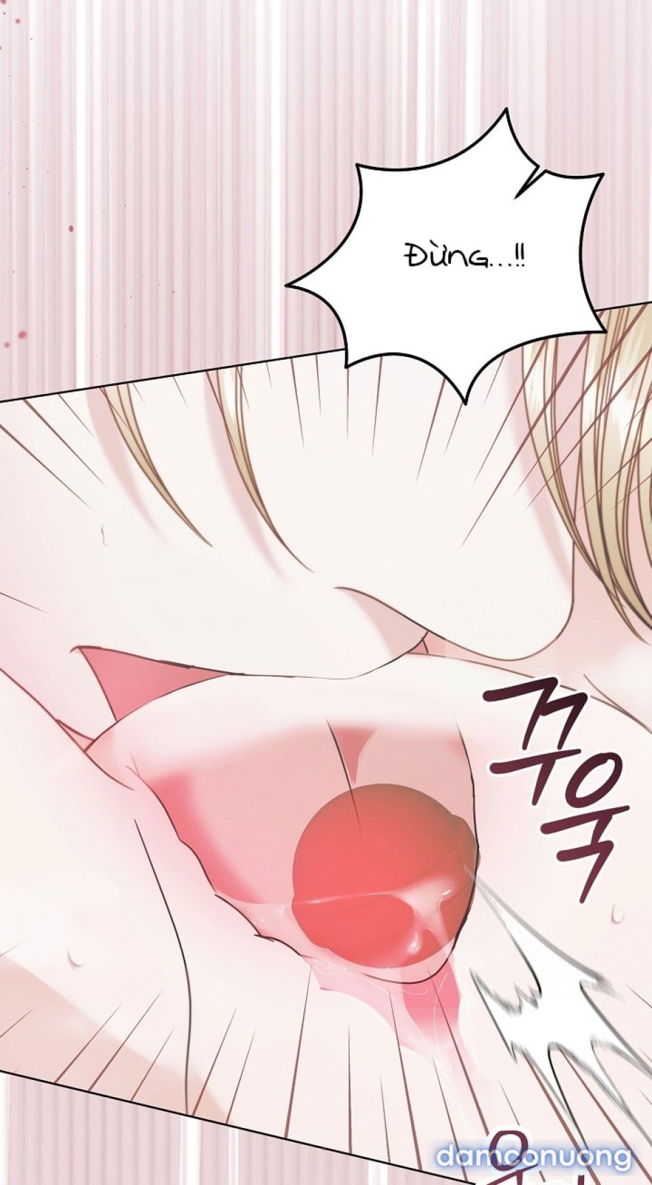 [18+] Hãy Cầu Xin Tôi Đii 