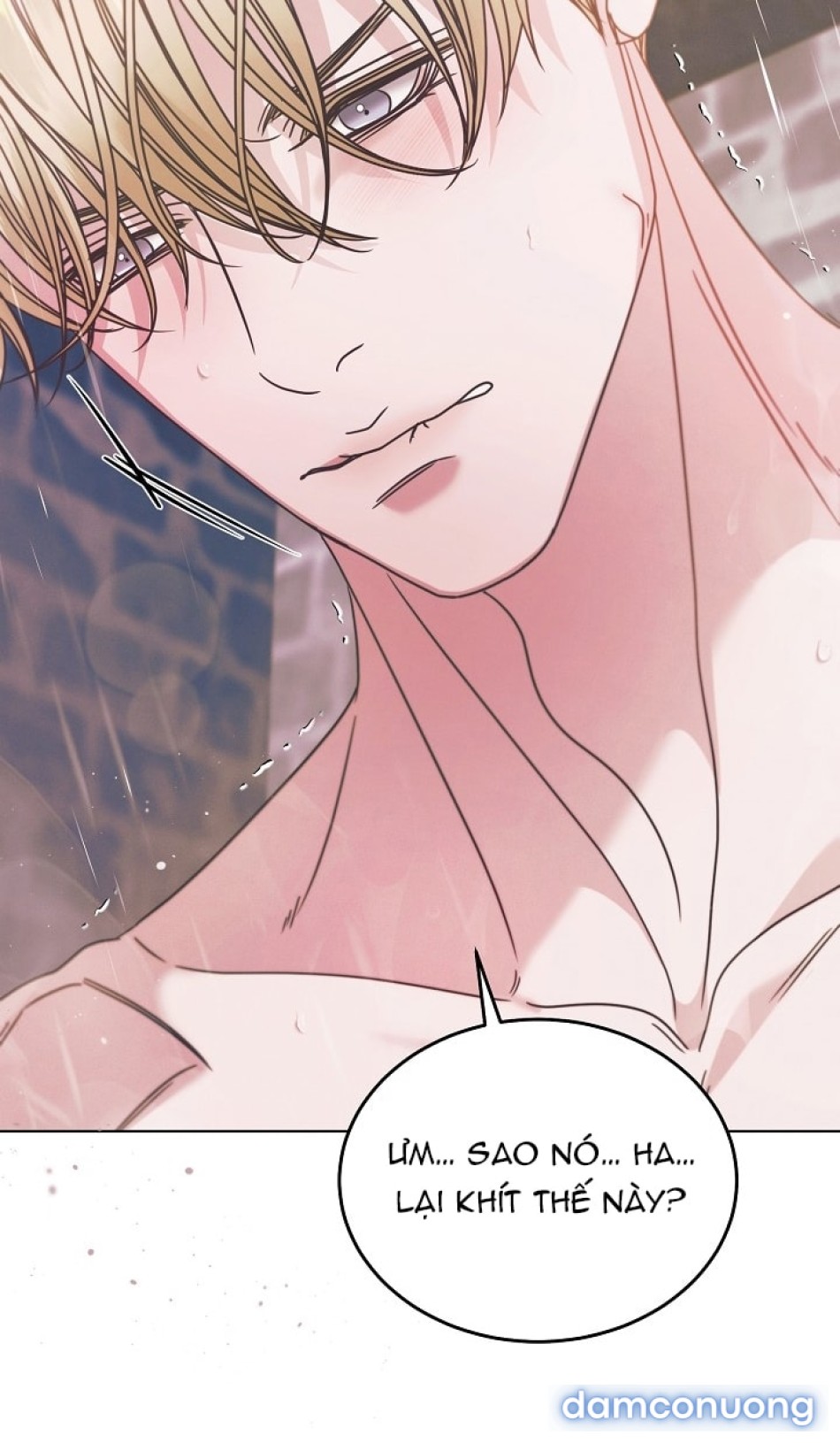 [18+] Hãy Cầu Xin Tôi Đii 