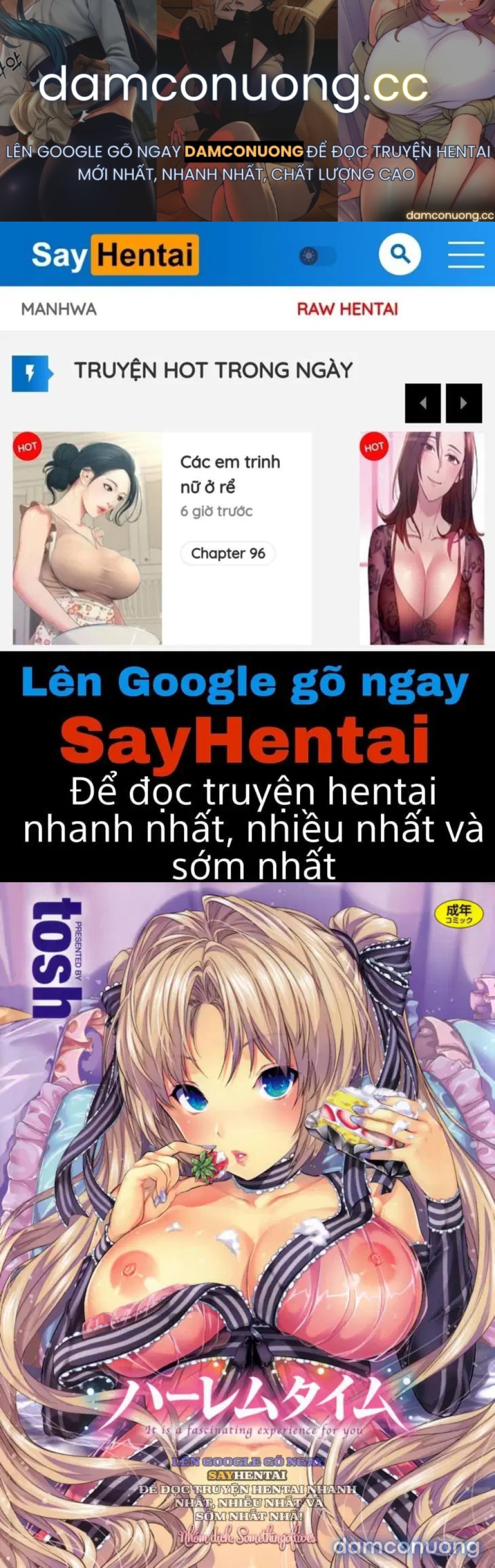 Thời Khắc Hậu Cung Đăng Quang 