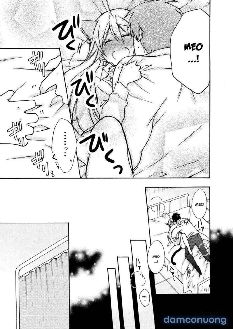 Nyotaika Yankee Gakuen: Ore no Hajimete, Nerawaretemasu! 