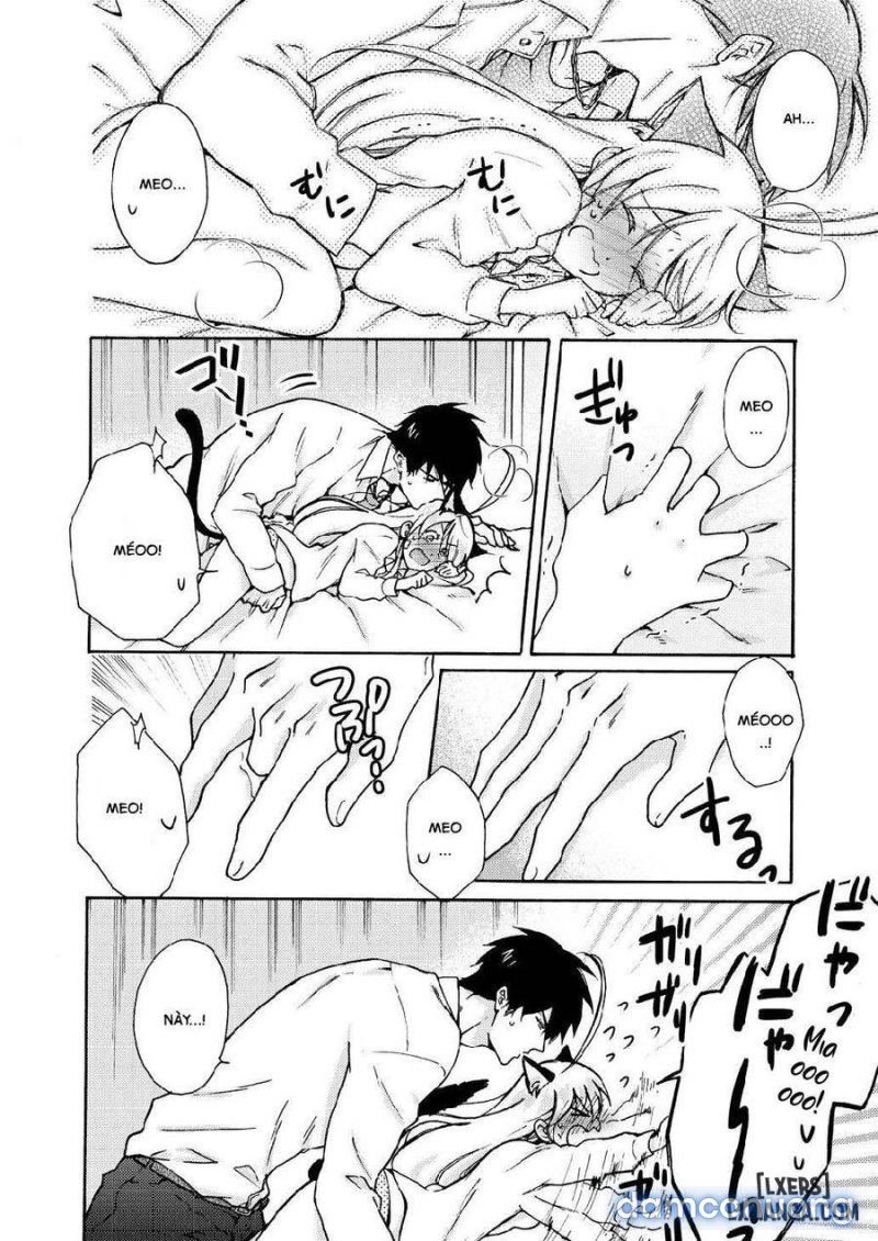 Nyotaika Yankee Gakuen: Ore no Hajimete, Nerawaretemasu! 