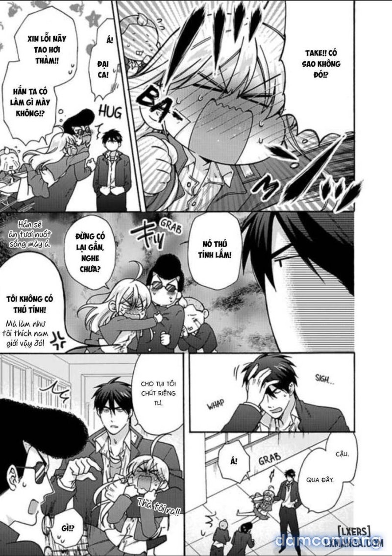 Nyotaika Yankee Gakuen: Ore no Hajimete, Nerawaretemasu! 