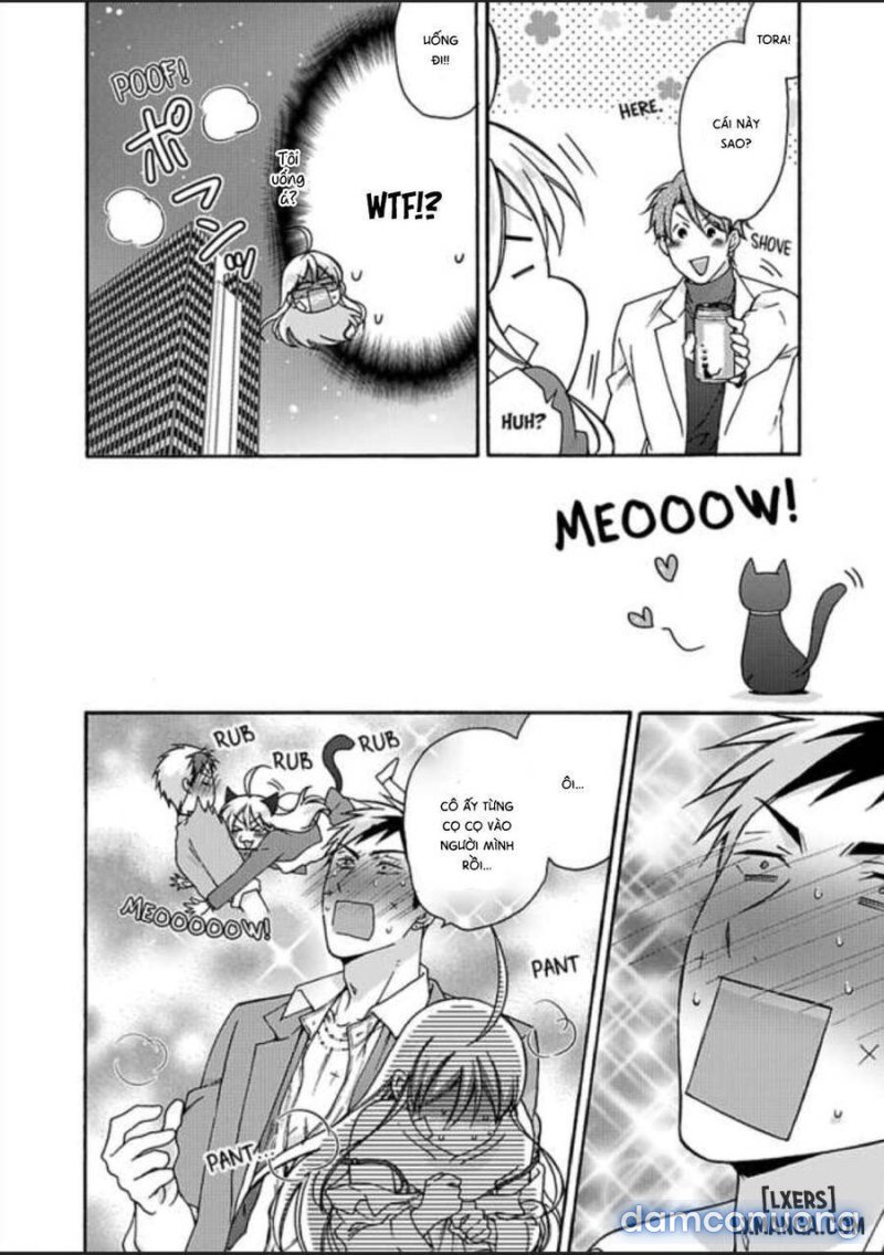 Nyotaika Yankee Gakuen: Ore no Hajimete, Nerawaretemasu! 