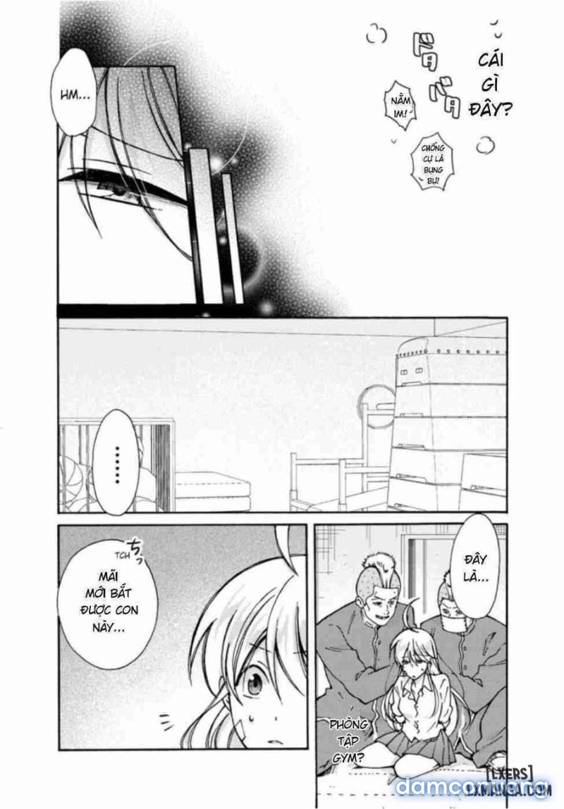 Nyotaika Yankee Gakuen: Ore no Hajimete, Nerawaretemasu! 