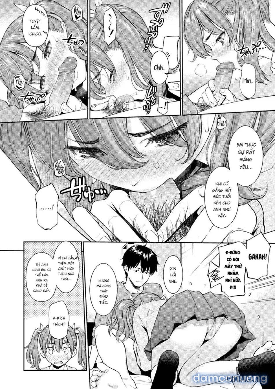 Strawberry Rendezvous 