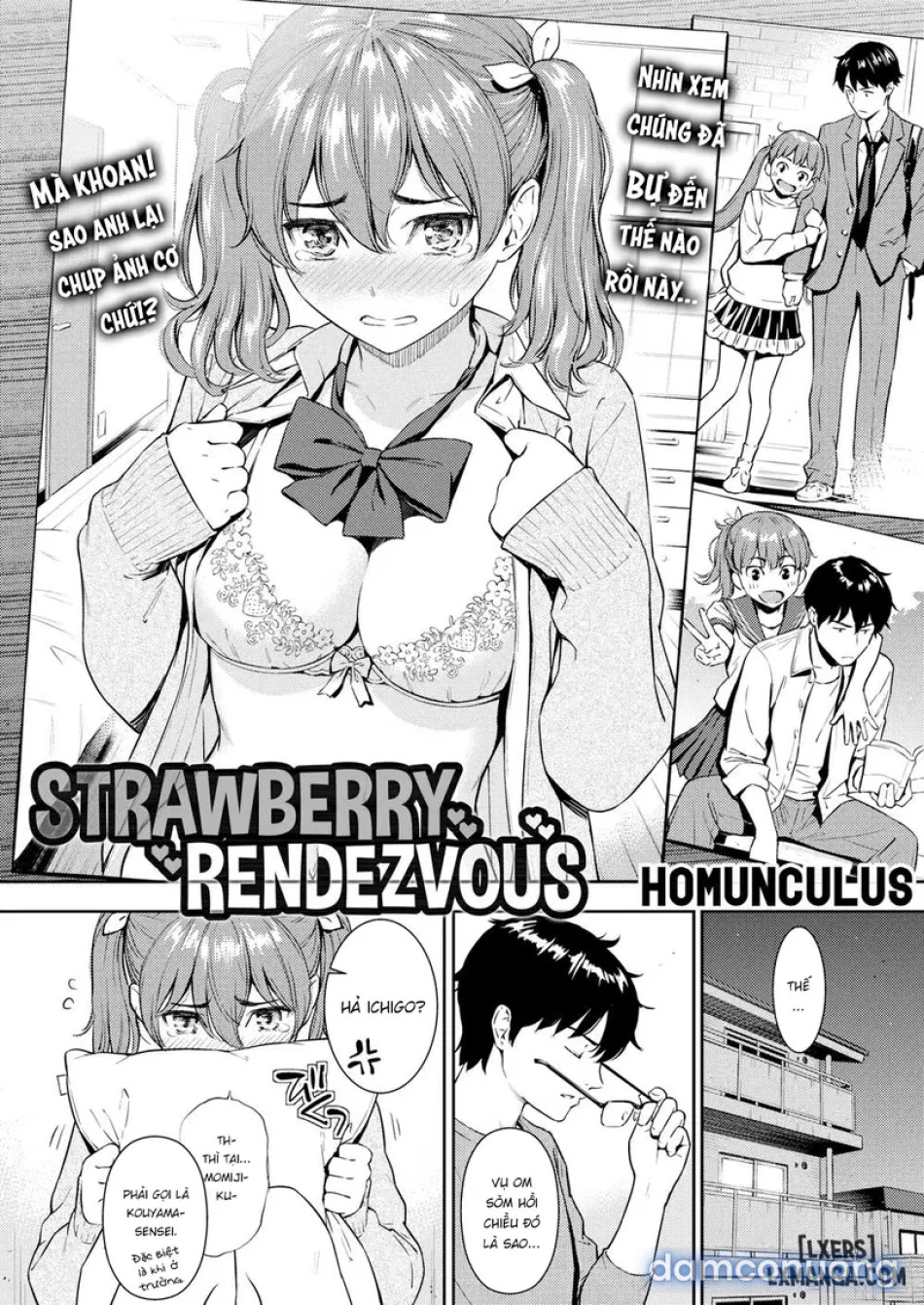 Strawberry Rendezvous 