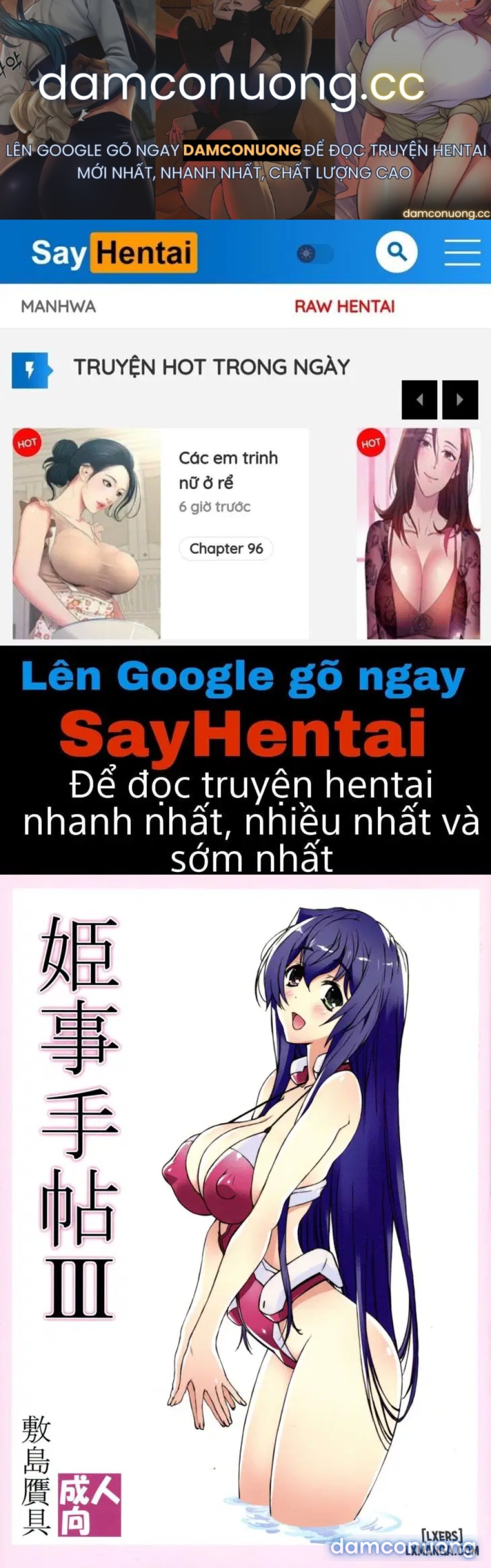 Himegoto Techou III 