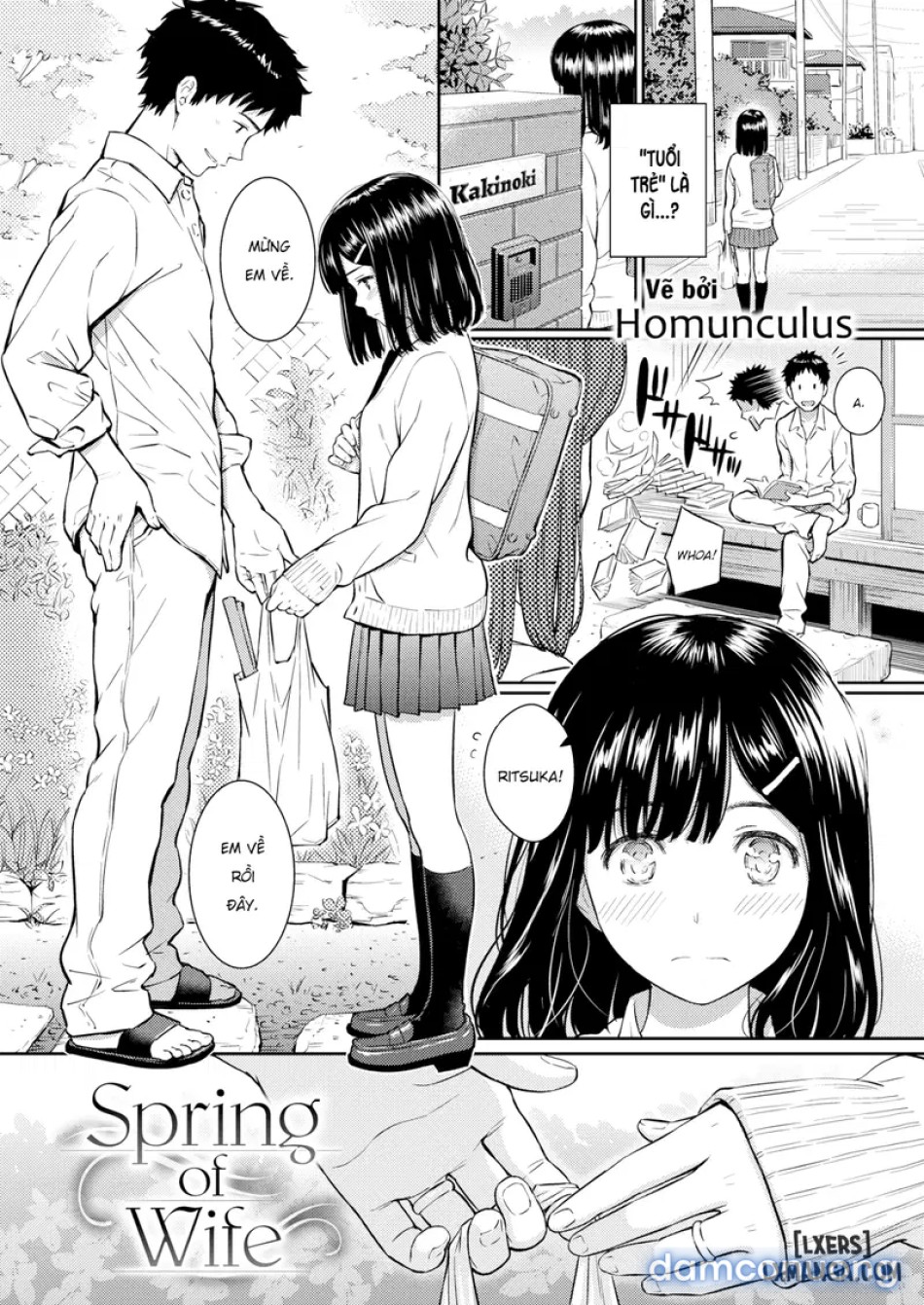 Spring Of Wife4 