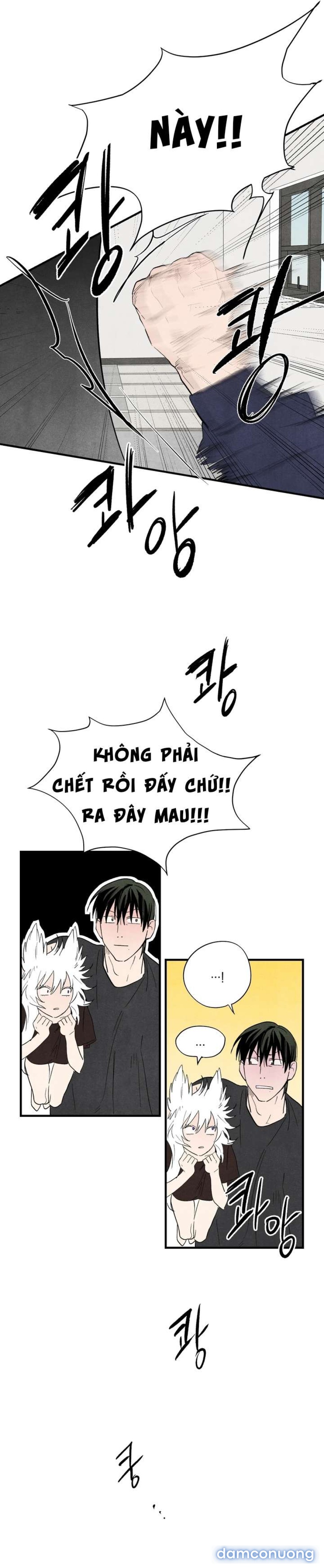 [ 18+ ] Meo~ Để tôi làm cho 