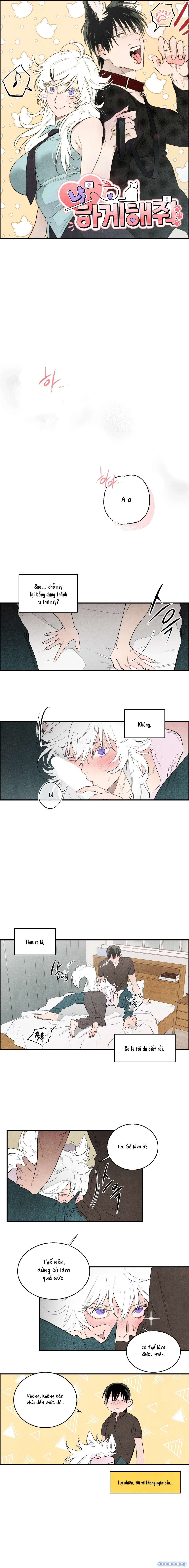 [18+] Meo~ Cho Tôi Đi 