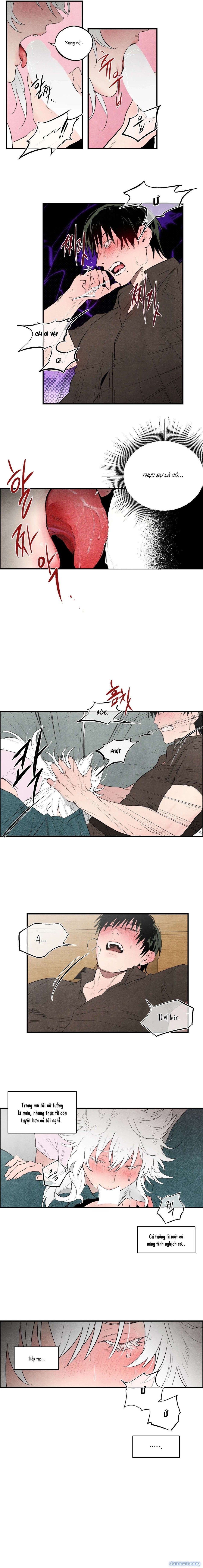 [18+] Meo~ Cho Tôi Đi 