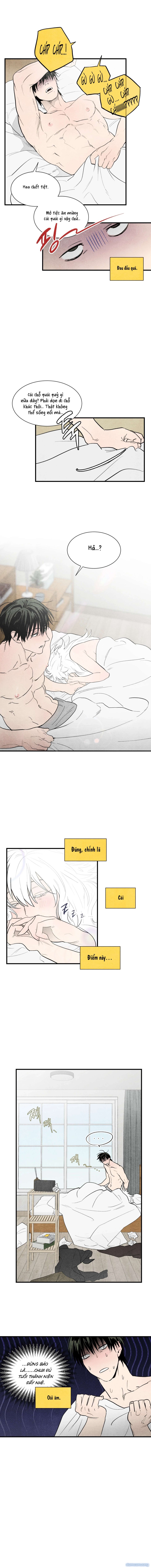 [ 18+ ] Meo~ Để tôi làm cho 