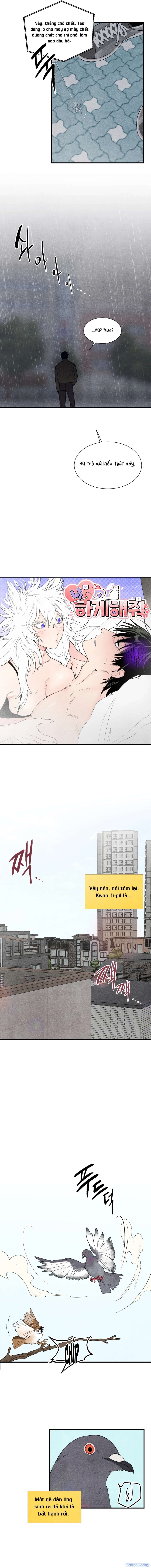 [ 18+ ] Meo~ Để tôi làm cho 