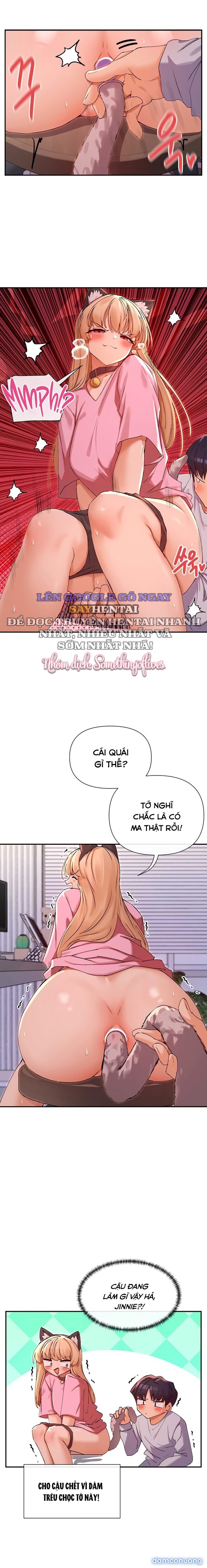 Cậu Cũng Coi Mấy Thứ Như Vậy Sao 