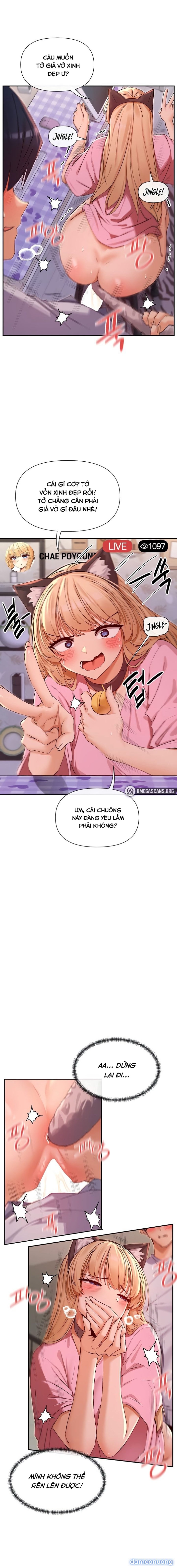 Cậu Cũng Coi Mấy Thứ Như Vậy Sao 