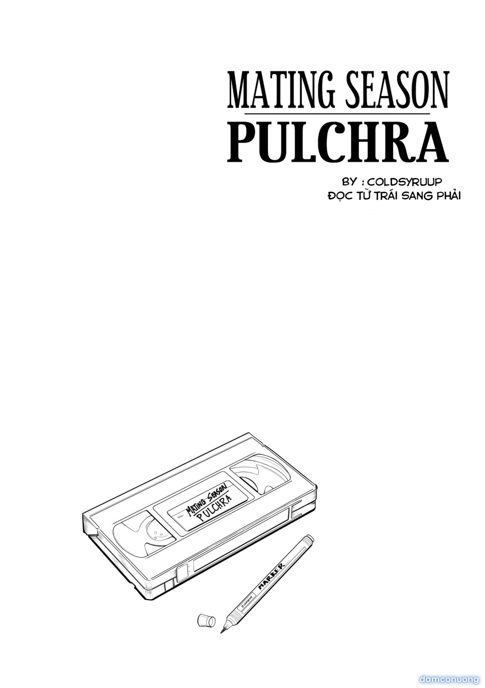 mùa động dục của pulchra 
