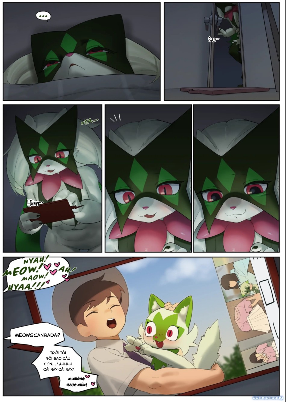 Meowscarada tớ... 