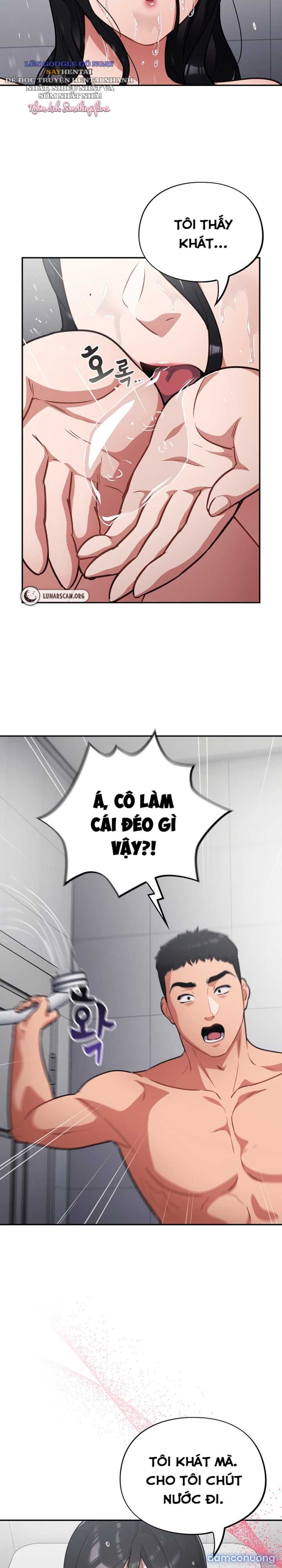 Vi Rút Ngu Ngốc 