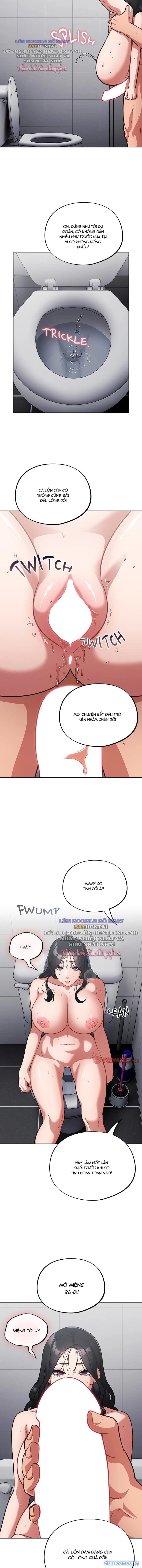 Vi Rút Ngu Ngốc 